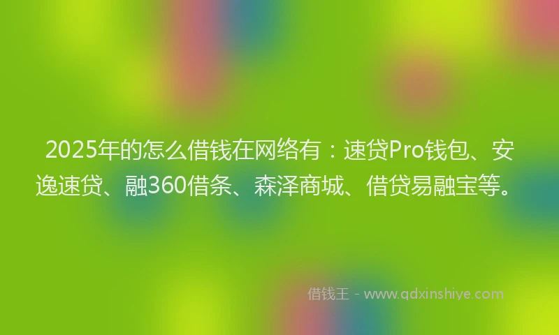 2025年的怎么借钱在网络有：速贷Pro钱包、安逸速贷、融360借条、森泽商城、借贷易融宝等。