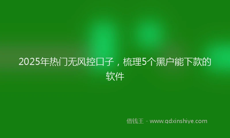 2025年热门无风控口子，梳理5个黑户能下款的软件