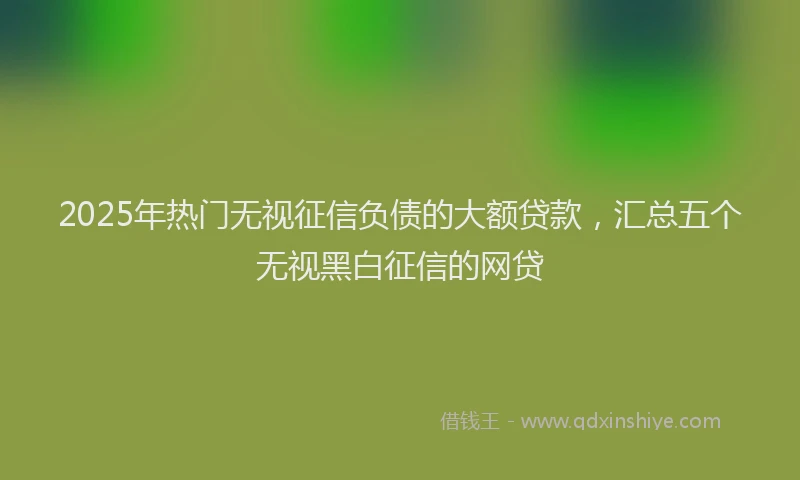 2025年热门无视征信负债的大额贷款，汇总五个无视黑白征信的网贷