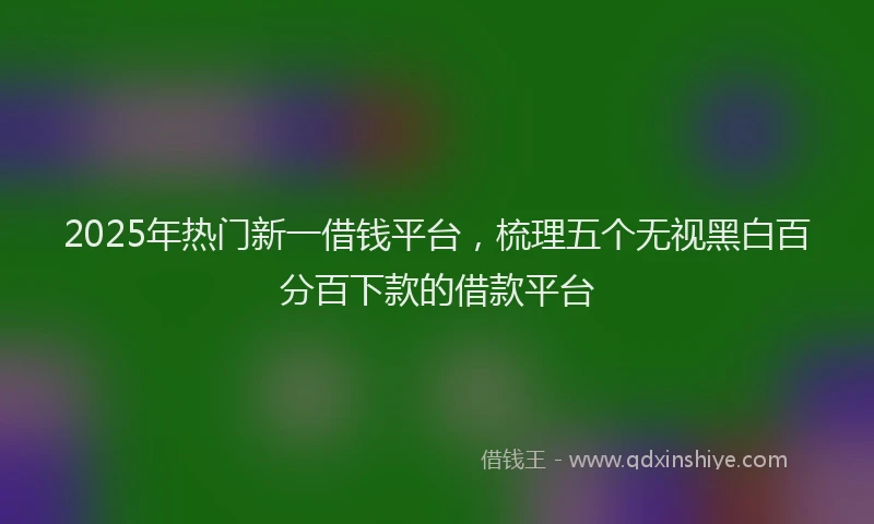 2025年热门新一借钱平台，梳理五个无视黑白百分百下款的借款平台