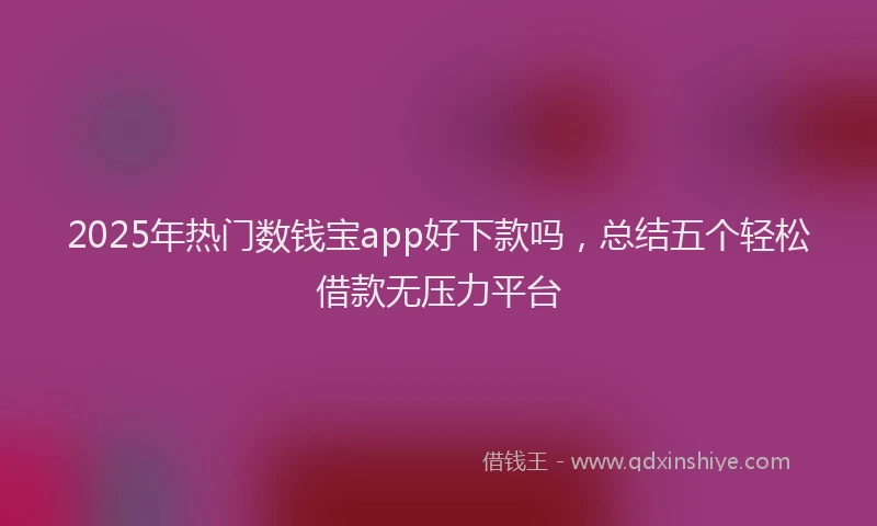 2025年热门数钱宝app好下款吗，总结五个轻松借款无压力平台