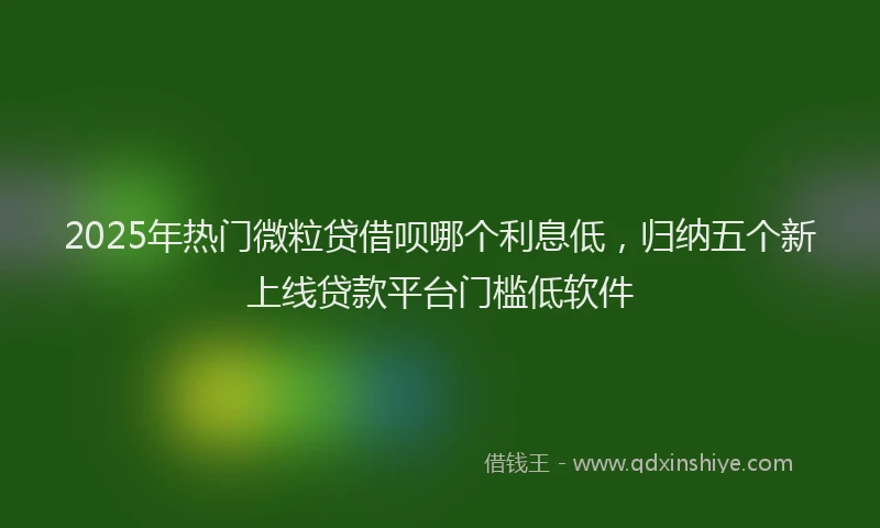 2025年热门微粒贷借呗哪个利息低，归纳五个新上线贷款平台门槛低软件