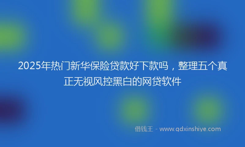 2025年热门新华保险贷款好下款吗，整理五个真正无视风控黑白的网贷软件