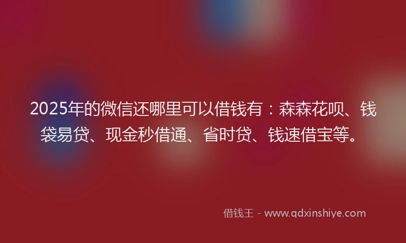 2025年的微信还哪里可以借钱有：森森花呗、钱袋易贷、现金秒借通、省时贷、钱速借宝等。