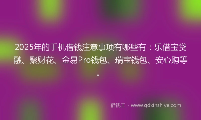 2025年的手机借钱注意事项有哪些有：乐借宝贷融、聚财花、金易Pro钱包、瑞宝钱包、安心购等。