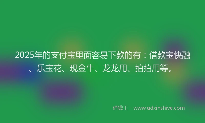 2025年的支付宝里面容易下款的有：借款宝快融、乐宝花、现金牛、龙龙用、拍拍用等。