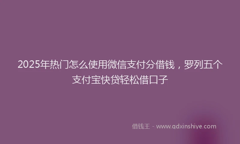 2025年热门怎么使用微信支付分借钱，罗列五个支付宝快贷轻松借口子