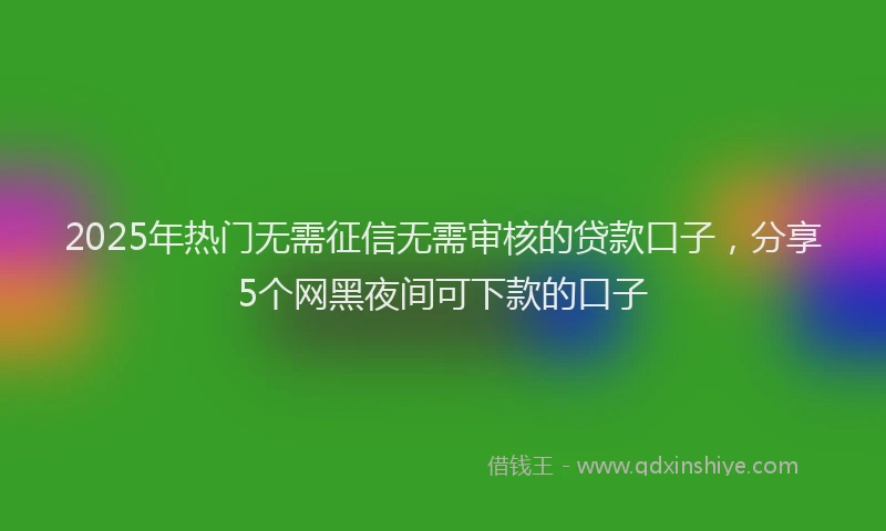2025年热门无需征信无需审核的贷款口子，分享5个网黑夜间可下款的口子