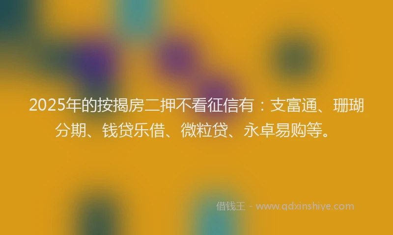 2025年的按揭房二押不看征信有：支富通、珊瑚分期、钱贷乐借、微粒贷、永卓易购等。