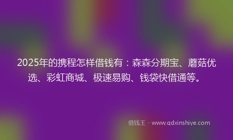 2025年的携程怎样借钱有：森森分期宝、蘑菇优选、彩虹商城、极速易购、钱袋快借通等。