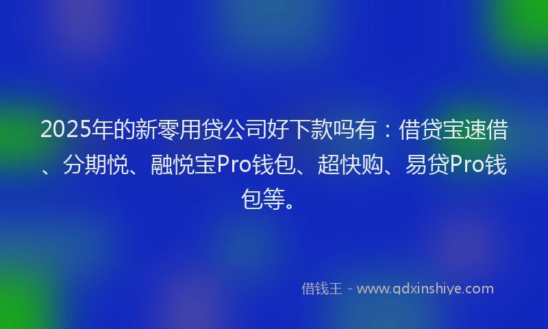 2025年的新零用贷公司好下款吗有：借贷宝速借、分期悦、融悦宝Pro钱包、超快购、易贷Pro钱包等。