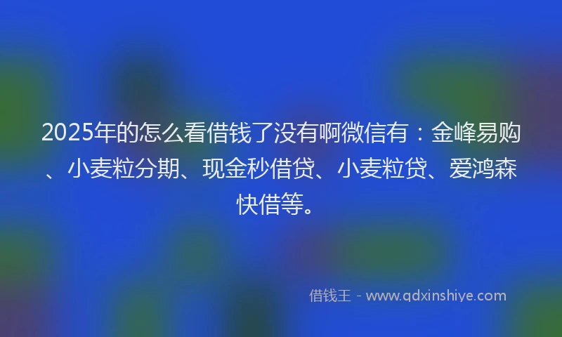 2025年的怎么看借钱了没有啊微信有：金峰易购、小麦粒分期、现金秒借贷、小麦粒贷、爱鸿森快借等。
