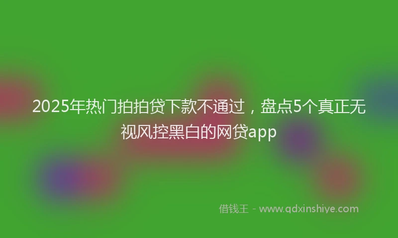 2025年热门拍拍贷下款不通过，盘点5个真正无视风控黑白的网贷app