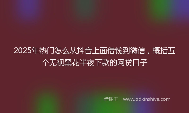 2025年热门怎么从抖音上面借钱到微信，概括五个无视黑花半夜下款的网贷口子