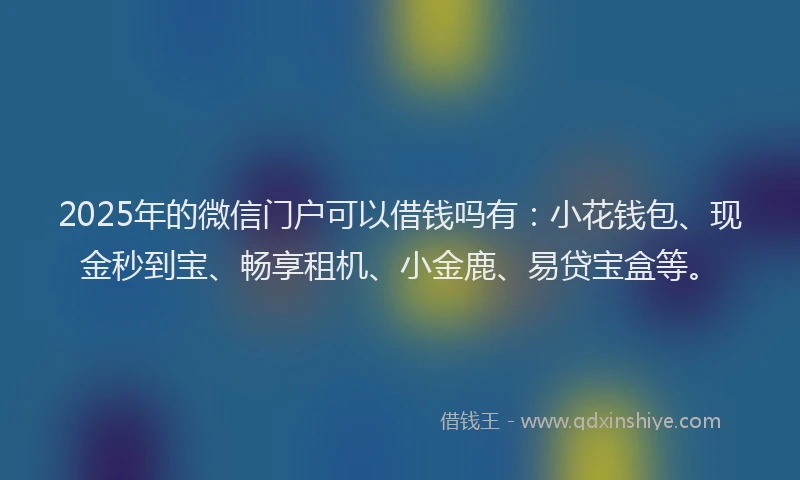 2025年的微信门户可以借钱吗有：小花钱包、现金秒到宝、畅享租机、小金鹿、易贷宝盒等。