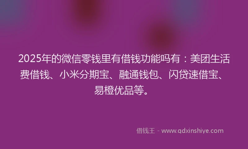 2025年的微信零钱里有借钱功能吗有：美团生活费借钱、小米分期宝、融通钱包、闪贷速借宝、易橙优品等。