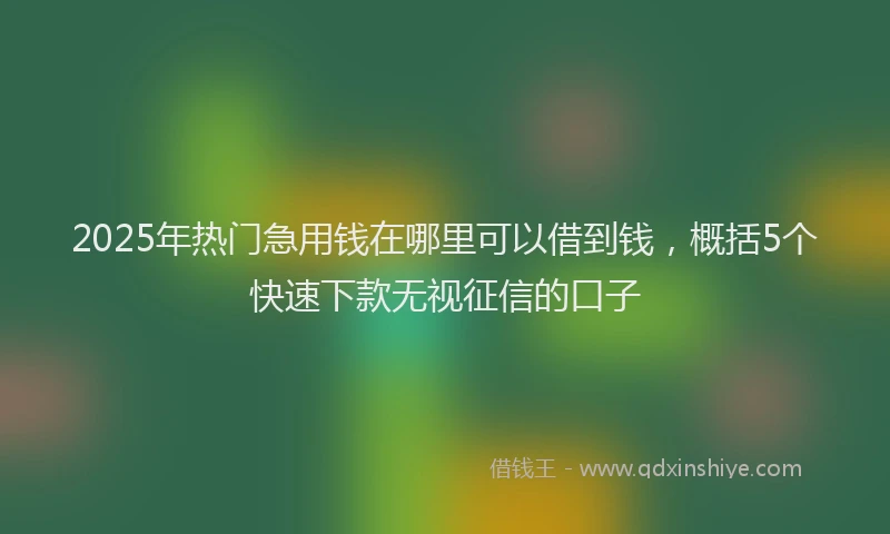 2025年热门急用钱在哪里可以借到钱，概括5个快速下款无视征信的口子