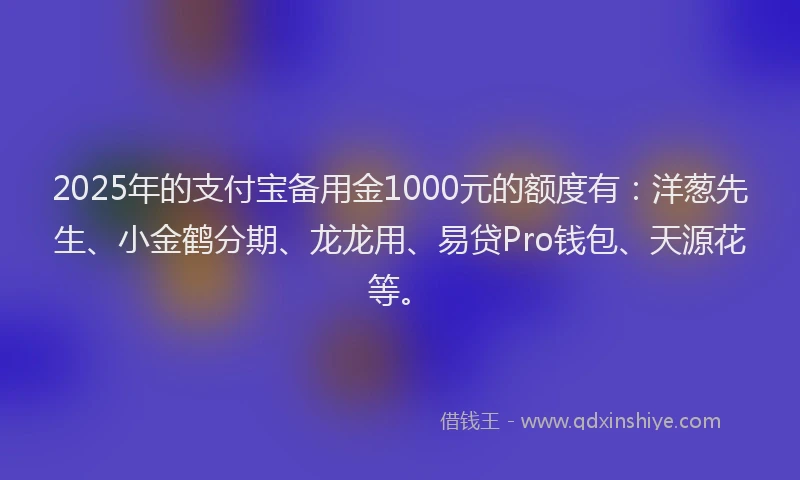 2025年的支付宝备用金1000元的额度有：洋葱先生、小金鹤分期、龙龙用、易贷Pro钱包、天源花等。