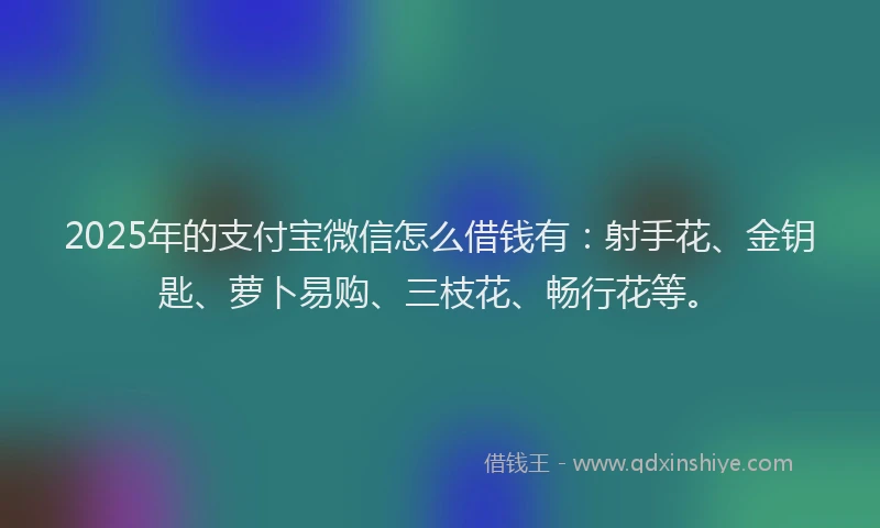 2025年的支付宝微信怎么借钱有：射手花、金钥匙、萝卜易购、三枝花、畅行花等。