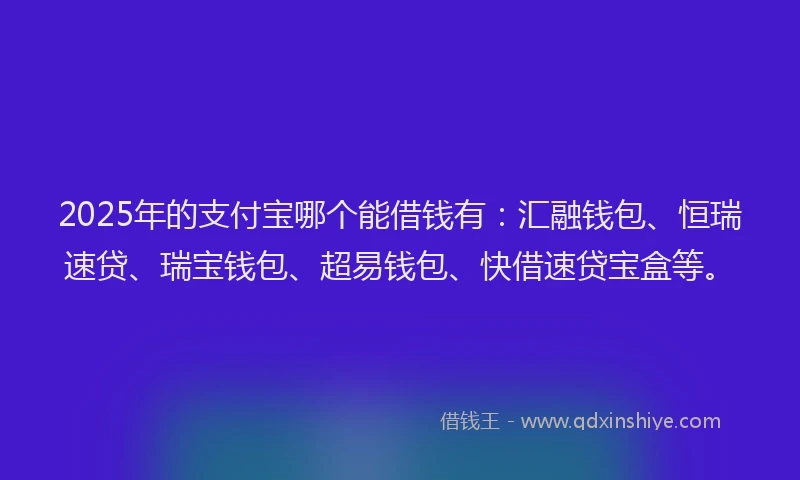 2025年的支付宝哪个能借钱有：汇融钱包、恒瑞速贷、瑞宝钱包、超易钱包、快借速贷宝盒等。