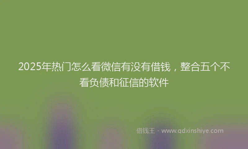 2025年热门怎么看微信有没有借钱，整合五个不看负债和征信的软件