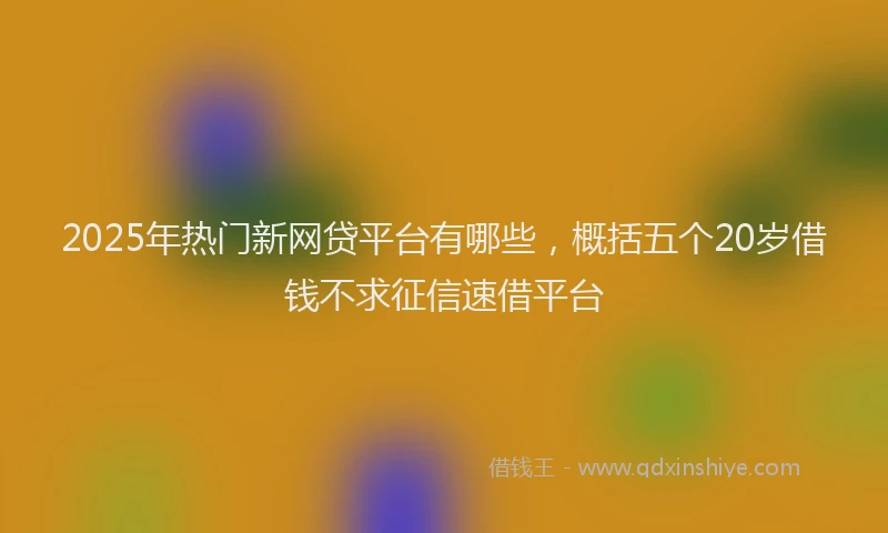 2025年热门新网贷平台有哪些，概括五个20岁借钱不求征信速借平台