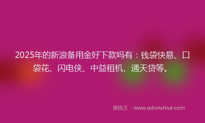 2025年的新浪备用金好下款吗有：钱袋快易、口袋花、闪电侠、中益租机、通天贷等。
