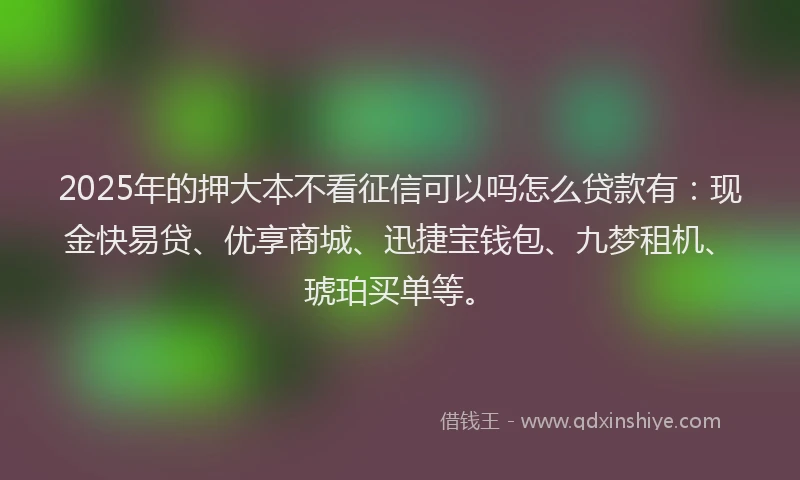 2025年的押大本不看征信可以吗怎么贷款有：现金快易贷、优享商城、迅捷宝钱包、九梦租机、琥珀买单等。