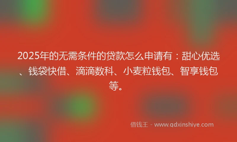 2025年的无需条件的贷款怎么申请有：甜心优选、钱袋快借、滴滴数科、小麦粒钱包、智享钱包等。