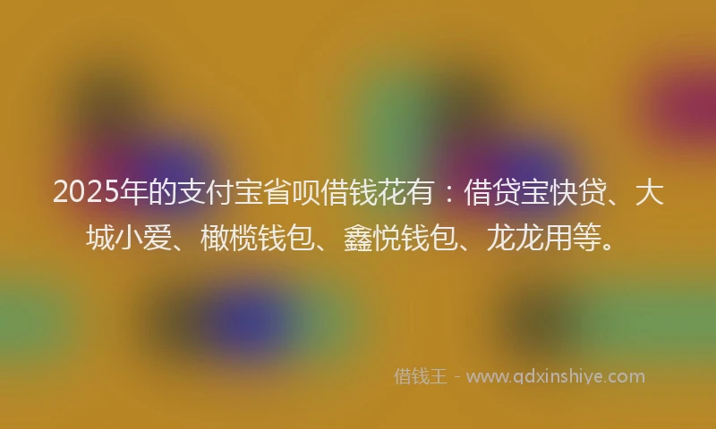 2025年的支付宝省呗借钱花有：借贷宝快贷、大城小爱、橄榄钱包、鑫悦钱包、龙龙用等。
