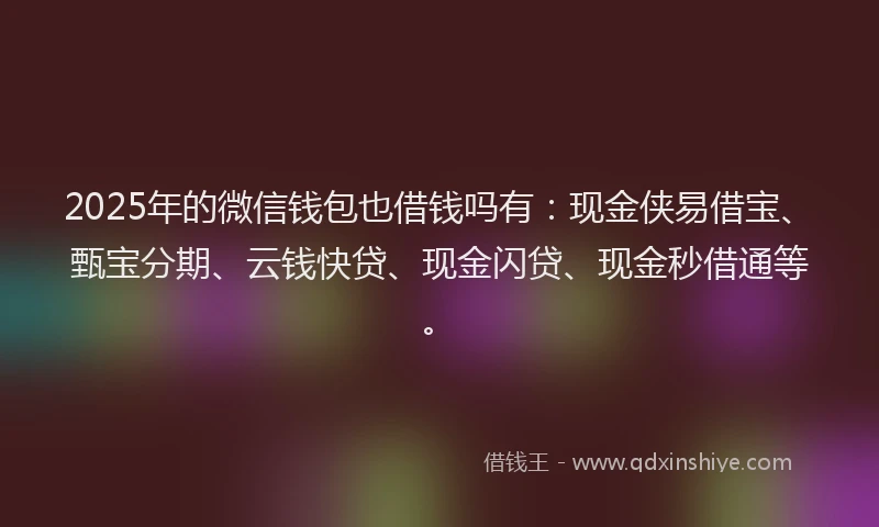 2025年的微信钱包也借钱吗有：现金侠易借宝、甄宝分期、云钱快贷、现金闪贷、现金秒借通等。
