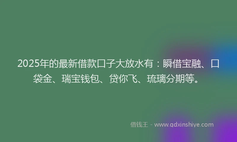 2025年的最新借款口子大放水有：瞬借宝融、口袋金、瑞宝钱包、贷你飞、琉璃分期等。