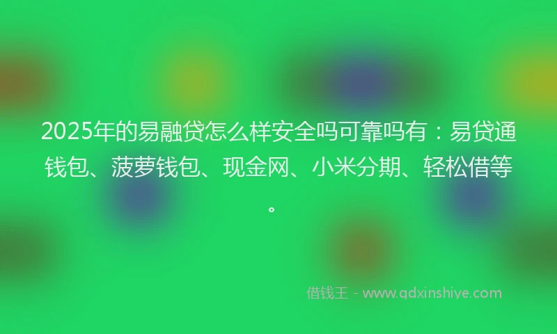 2025年的易融贷怎么样安全吗可靠吗有：易贷通钱包、菠萝钱包、现金网、小米分期、轻松借等。