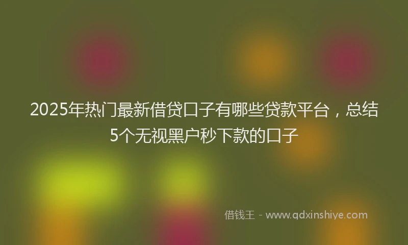 2025年热门最新借贷口子有哪些贷款平台，总结5个无视黑户秒下款的口子