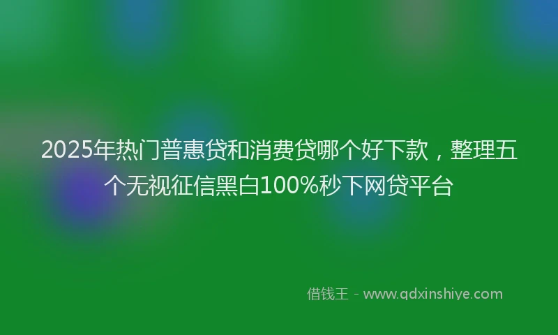2025年热门普惠贷和消费贷哪个好下款，整理五个无视征信黑白100%秒下网贷平台