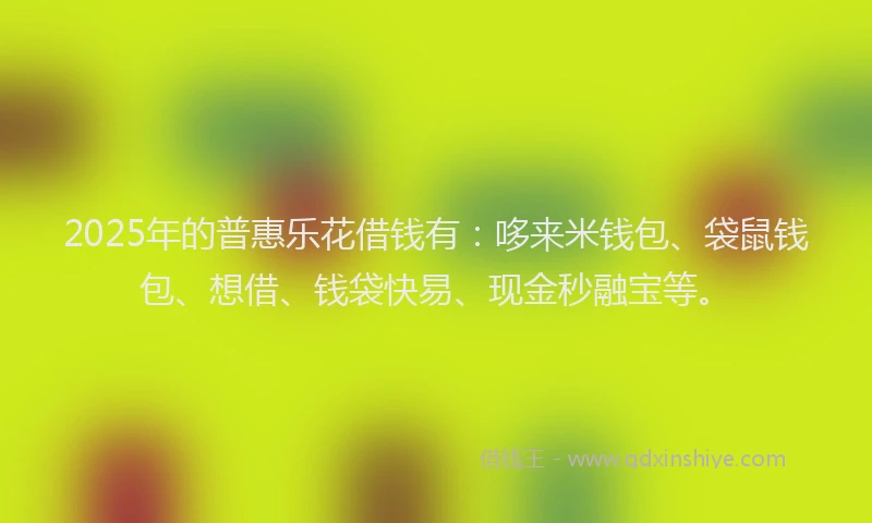 2025年的普惠乐花借钱有：哆来米钱包、袋鼠钱包、想借、钱袋快易、现金秒融宝等。