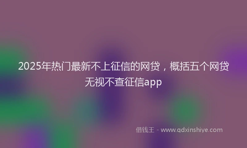 2025年热门最新不上征信的网贷，概括五个网贷无视不查征信app