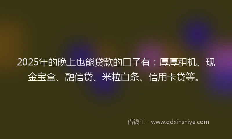 2025年的晚上也能贷款的口子有：厚厚租机、现金宝盒、融信贷、米粒白条、信用卡贷等。