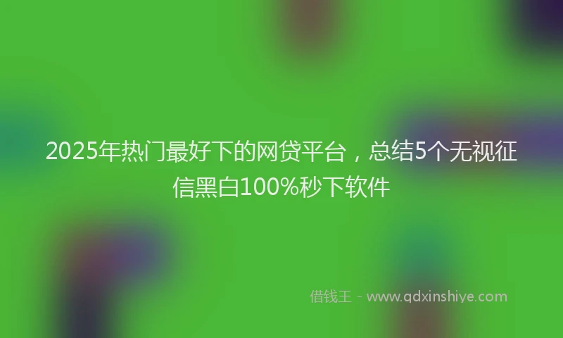 2025年热门最好下的网贷平台，总结5个无视征信黑白100%秒下软件