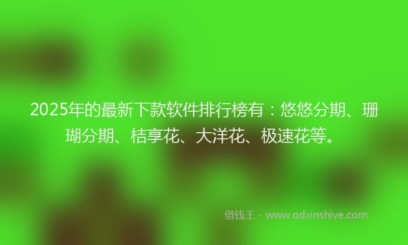 2025年的最新下款软件排行榜有：悠悠分期、珊瑚分期、桔享花、大洋花、极速花等。
