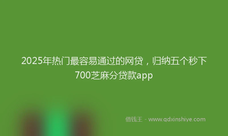 2025年热门最容易通过的网贷，归纳五个秒下700芝麻分贷款app