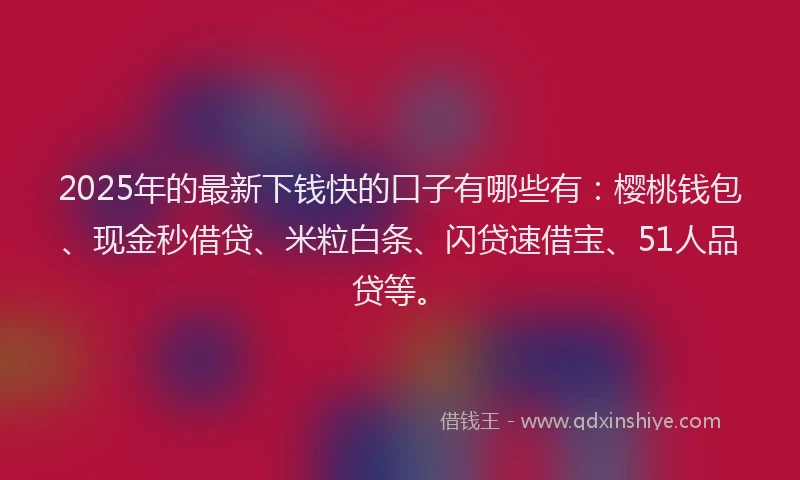 2025年的最新下钱快的口子有哪些有：樱桃钱包、现金秒借贷、米粒白条、闪贷速借宝、51人品贷等。