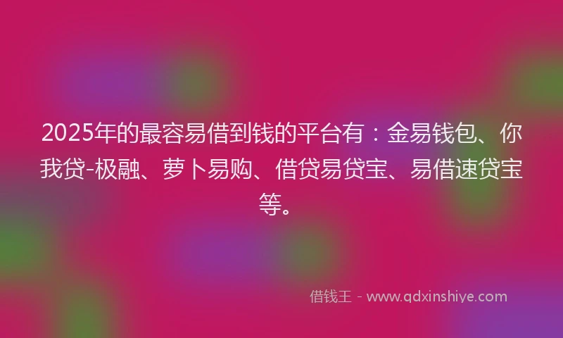 2025年的最容易借到钱的平台有：金易钱包、你我贷-极融、萝卜易购、借贷易贷宝、易借速贷宝等。