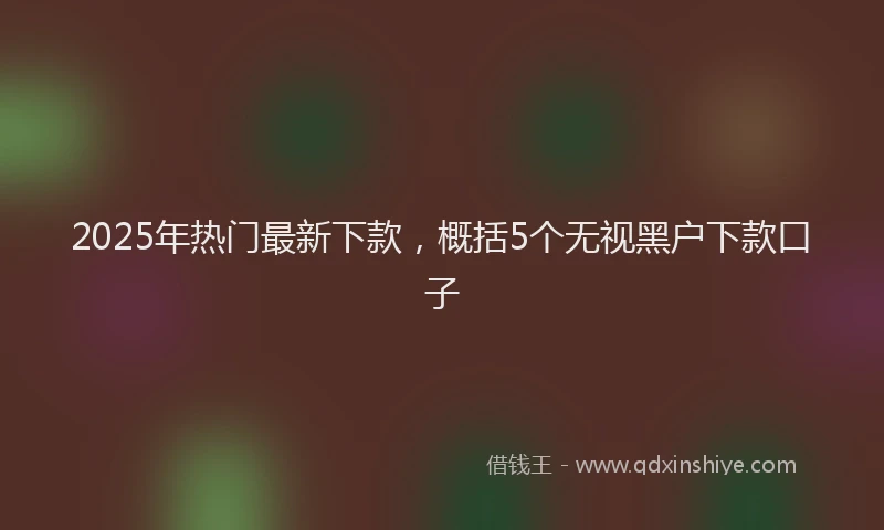 2025年热门最新下款，概括5个无视黑户下款口子