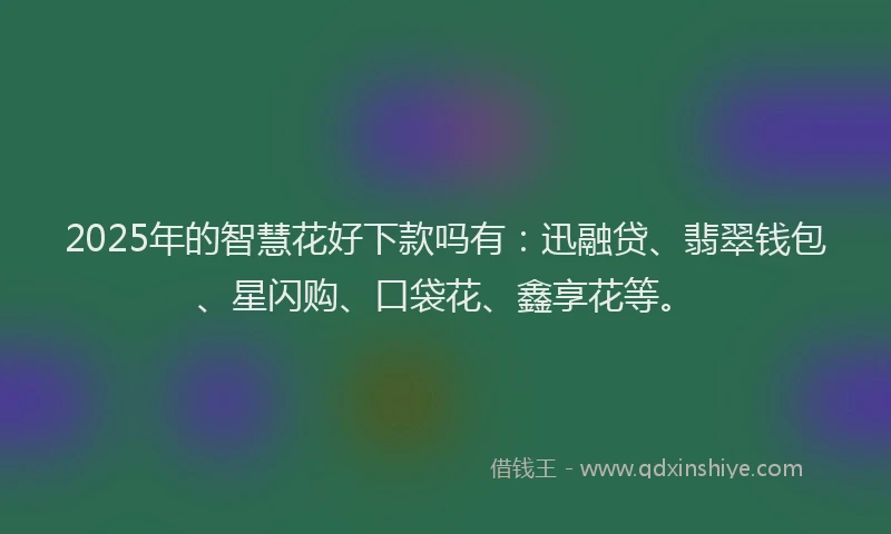2025年的智慧花好下款吗有：迅融贷、翡翠钱包、星闪购、口袋花、鑫享花等。