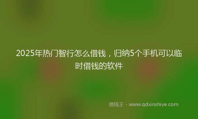 2025年热门智行怎么借钱，归纳5个手机可以临时借钱的软件