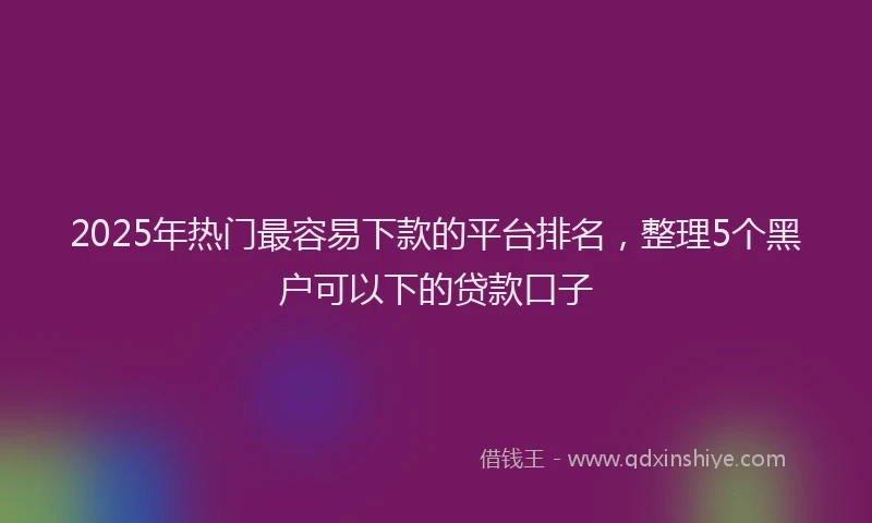2025年热门最容易下款的平台排名，整理5个黑户可以下的贷款口子