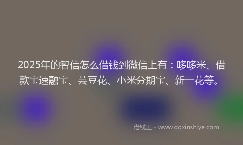 2025年的智信怎么借钱到微信上有：哆哆米、借款宝速融宝、芸豆花、小米分期宝、新一花等。