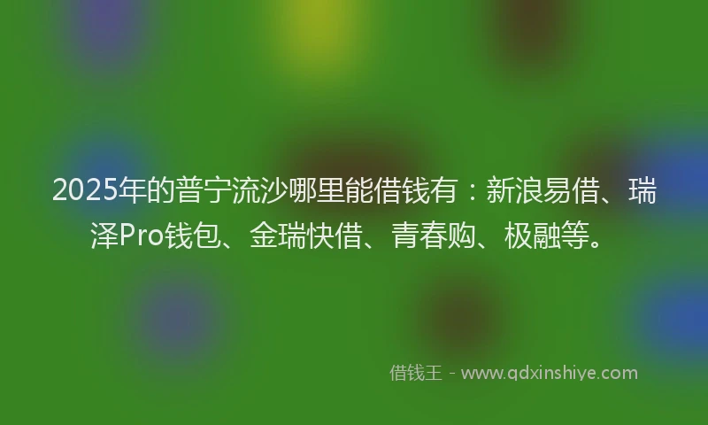 2025年的普宁流沙哪里能借钱有：新浪易借、瑞泽Pro钱包、金瑞快借、青春购、极融等。