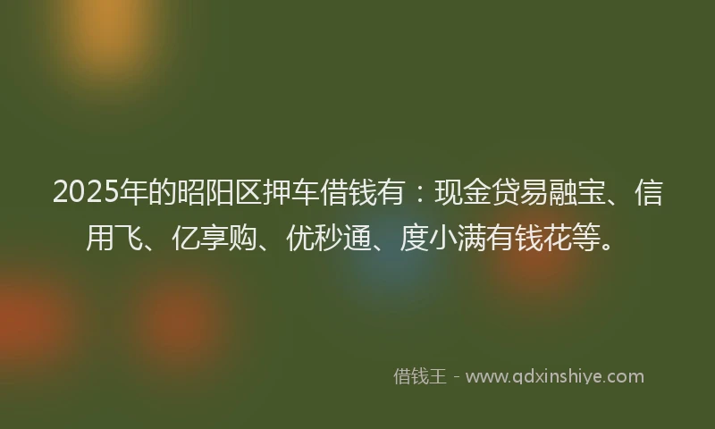 2025年的昭阳区押车借钱有：现金贷易融宝、信用飞、亿享购、优秒通、度小满有钱花等。